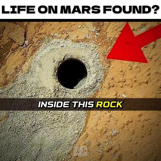 POSSIBLE LIFE ON MARS FOUND?! 😱💀
