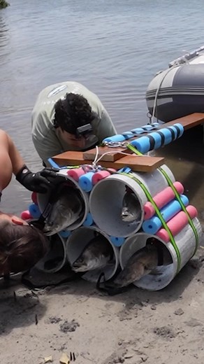 Fish Powered Boat: A Fun Science Experiment on the Water Chariot