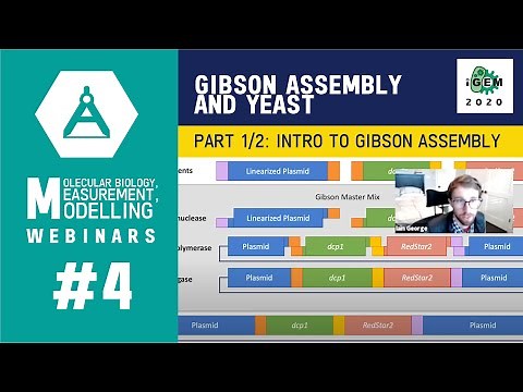 Week #4: Gibson Assembly and Yeast - Part 1/2 Gibson Assembly - iGEM 2020 Measurement Webinars
