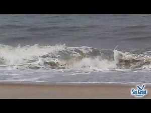 15 Second Science - Cycles of Beach Erosion