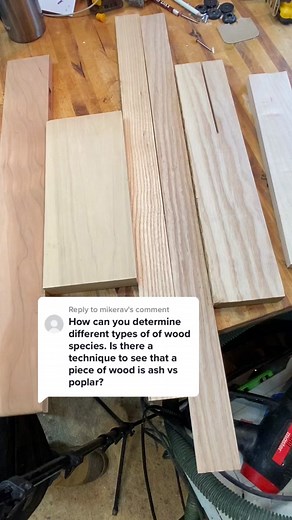 Identifying Different Types of Wood Easily