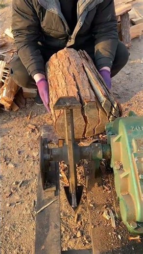 Massive Tree Base Cutting 🌲