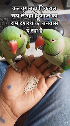 Hanuman ji 😁🚩🕉️😜😭😏