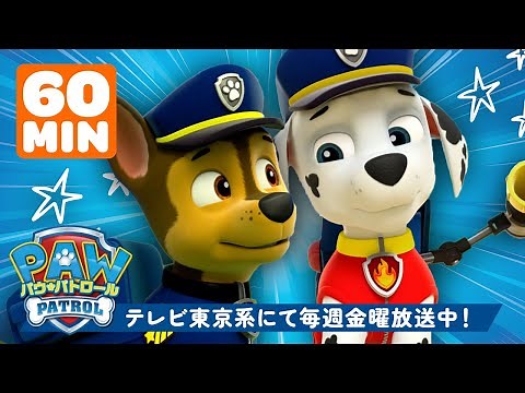 パウ・パトロール | チェイス＆マーシャルの最高のレスキューミッション！🚨 | １時間まとめ | テレビ東京系にて放送中