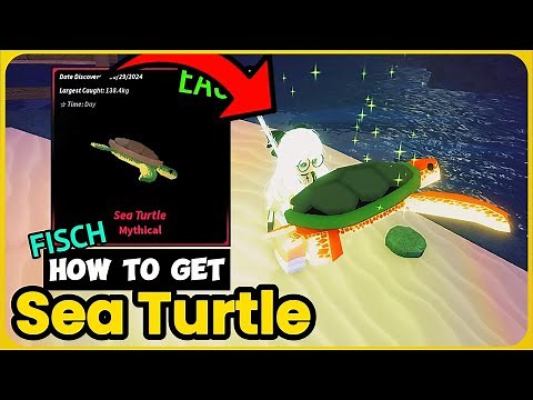 How To Get the Sea Turtle in Fisch – Ultimate Guide!
