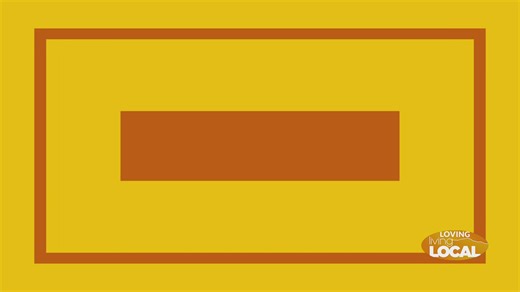 Groomed by Kelly: Where every dog gets VIP treatment