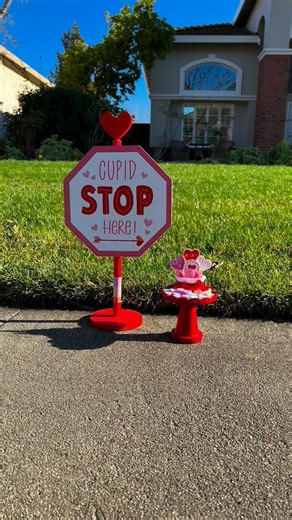 Tiger JoJo 🐱 on Instagram: "HOLY VALENTINES BATMAN! THE JOKER KIDNAPPED CUPID! 🙀 BATMAN JOJO AND NO DRAMA ROBIN TO THE RESCUE!!! ❤️🏹💘 #batman #cupid #love #valentines #reels"