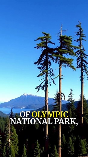 Exploring Lake Cushman: A Scenic Getaway in Washington