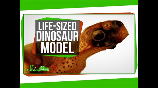 A scientifically accurate, life-sized dinosaur model