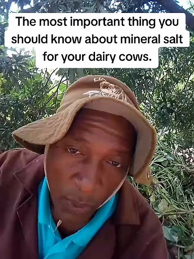 #foryouofficialpage #agribusiness #foryourpage #tiktok #smartfarming