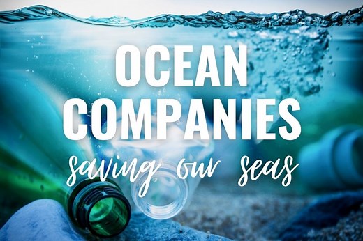 22 Amazing Ocean Companies Saving Our Seas In 2024