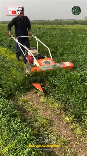 The Reaper machine is a revolutionary piece of agricultural equipment designed to streamline the harvesting process. By combining advanced technology with user-friendly features, it allows farmers to efficiently cut and gather crops in just a fraction of the time it would traditionally take. With its powerful engine and sharp cutting blades, the Reaper can handle a variety of crops, ensuring minimal damage while maximizing output. The capability for quick adjustments means that it can be fine-tu