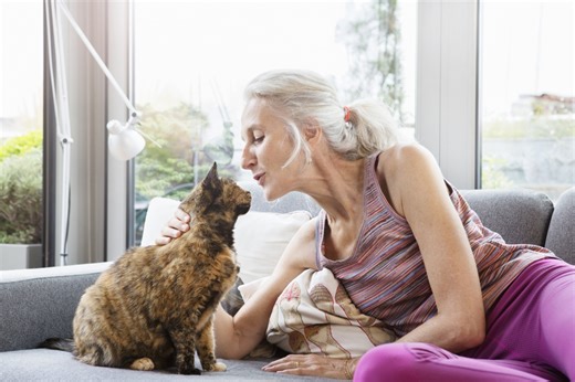 I'm a professional cat behaviourist - my top tips for training your feline