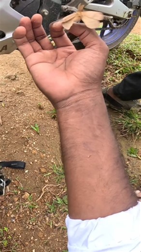 பட்டாம்பூச்சி 😍 || Vagamon Bike Ride in Tamil #jollyaorutrip #motovlogtamil