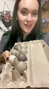 Cayugas are one of my favorite duck breeds! Do you have Cayugas? #ducks #ducksoftiktok #ducklings #hatchingeggs #incubator #homestead #homesteading #farm #farming #farmanimals #farmtok #chickens #chickensoftiktok | The Hot Mess Homestead