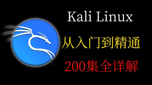 【零基础入门】2025年最细最全的Kali Linux教程，看完还学不会直接来找我