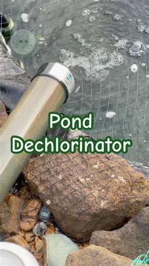 What is a Pond Dechlorinator? #pond #fish #koi #garden #aquascape #pets