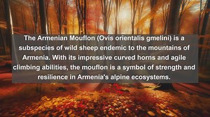 Top 10 native fauna in Armenia