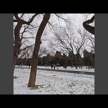 周末一起去露营呀