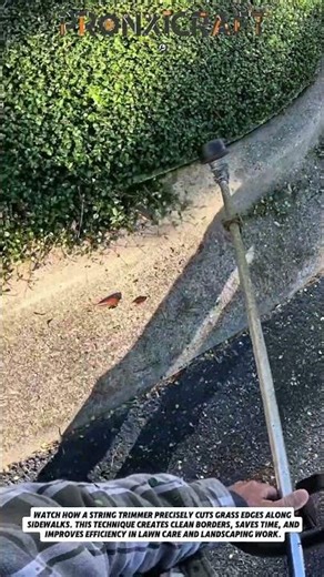 Perfect Edge Trimming with String Trimmer | Clean Lawn Borders Fast