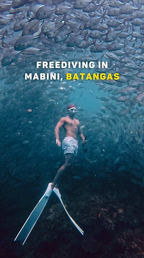 Exploring Anilao: Dive with Jackfish in Batangas