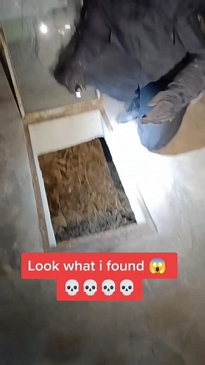 Look what i found💀😱 @bushcraft_buddy @Christian Sick #urbex #bones #bone #creepy #crypt #gruft #lostplacesgermany #lostplacesgerman #horror #dahmerstyle #wtf #fyp #fypシ #adventure #urbanexploring