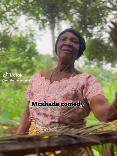 Aki and pawpaw (@aki.and.pawpaw4)’s videos with original sound - Aki and pawpaw