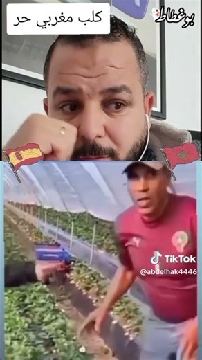 الاسبان يعاملون المغاربة على انهم كلاب #المغرب