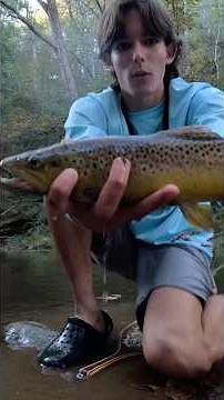 Big fall brown trout crushed the mepps spinner