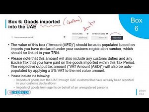 UAE VAT Return Box 6 - Goods imported into the UAE