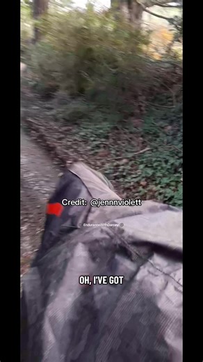 Keeping Dogs Safe Around Horses