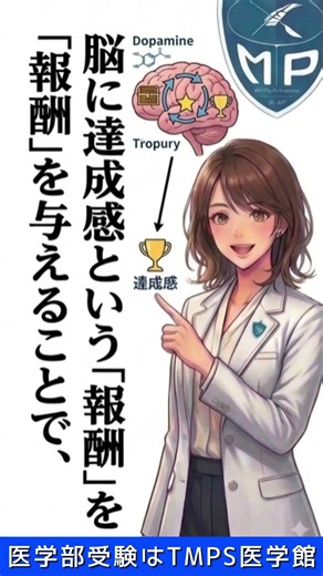 【医学部受験】寝る前の勉強を効率化！達成感でやる気UP