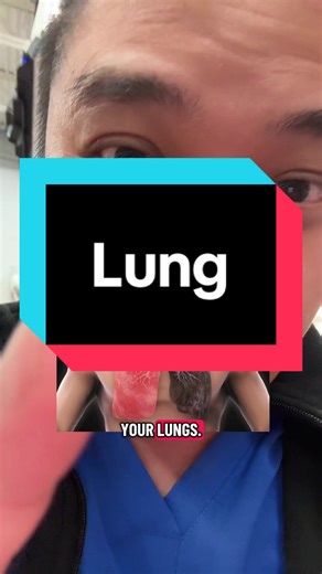 This is the best thing if your lungs have been impacted by all the sickness going on. Mullein leaf has been used for 1,000 of years as an respiratory health supplement and I explain why. Just a quick disclaimer: While I’m a licensed pharmacist, the advice I share here is for general educational purposes only. Always check in with your own doctor or healthcare provider for personal medical advice. #lung #respiratory #mulleinleaf #cough #tiktokshopjumpstartsale