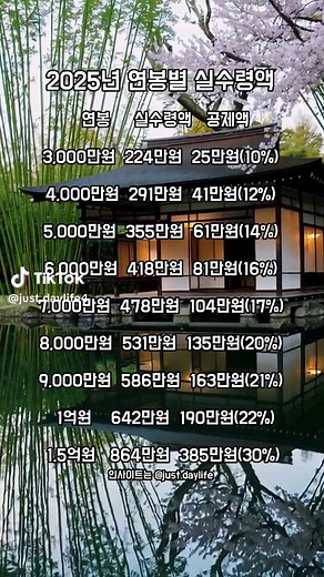 2025년 연봉별 월급 실수령액 연봉 실수령액 공제액 3,000만원 224만원 25만원(10%) 4,000만원 291만원 41만원(12%) 5,000만원 355만원 61만원(14%) 6,000만원 418만원 81만원(16%) 7,000만원 478만원 104만원(17%) 8,000만원 531만원 135만원(20%) 9,000만원 586만원 163만원(21%) 1억원 642만원 190만원(22%) 1.5억원 864만원 385만원(30%) 공제: 국민연금,건강보험,장기요양,고용보험,소득세,지방소득세 #경제 #직장인 #재테크 #연봉 #실수령액 #월급