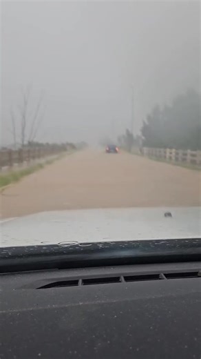 Despatch - on route to Uitenhage, Eastern Cape Marianne Loubser | We Are South Africans