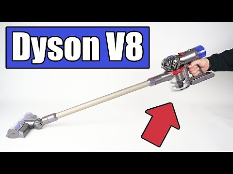 Dyson V8 Animal & Absolute Cordless Vacuum Review - Vacuum Wars