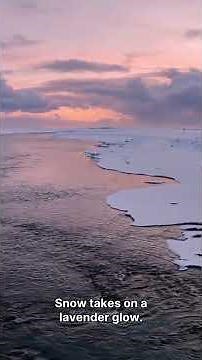 What If Earth's Sky Turned Purple Forever