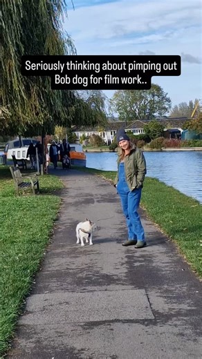 We might have inadvertently discovered a new income stream! 😆🐕 For more gardening reels about dogs, please follow 🙄😅 #weweed #dogsoﬁnstagram #womengardeners #jackrussell #gardenersdogs | WeWeed