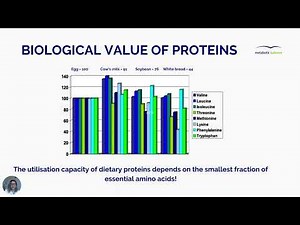 Metabolic Balance Explained. By Anca Johnson