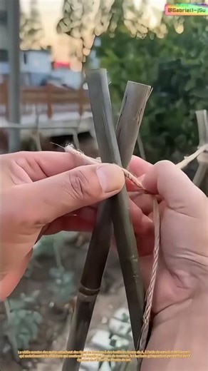 Construire l'escalade : comment 5 dollars de bambou permettent d'acheter 6 mètres d'espace vertical