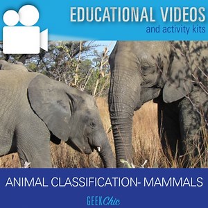Animal Classification Mammals Video and Activities Kit!