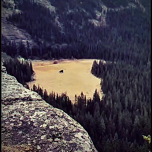 The Mysterious Influence of Centaurs in Culture