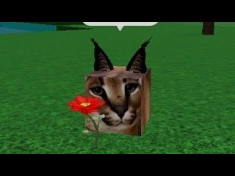 Raise a floppa time machine ending