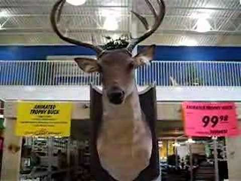 Singing Deer