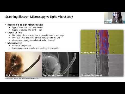 Fundamentals of Scanning Electron Microscopy (SEM) in Life Sciences