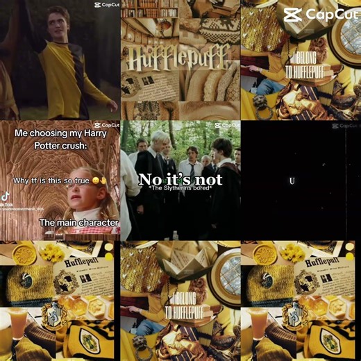 Fight Harry Potter edits FIGHT #funny #shorts