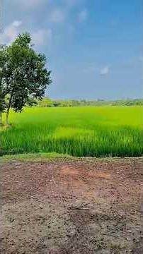 মায়ের শিক্ষা হচ্ছে আসল শিক্ষা🥵ভিডিওটি ভালো লাগলে সাবস্ক্রাইব করুন #islamiceducatio