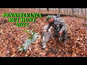 Pennsylvania Rut Hunt 2022