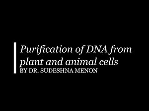 Purification of DNA from plant and animal cells