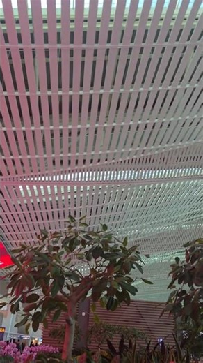인천공항 대합실 #천장 작품 #문주란